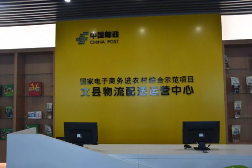 隴南市電商發(fā)展局局長劉粉梅一行考核文縣電子商務(wù)工作并開展業(yè)務(wù)指導(dǎo)